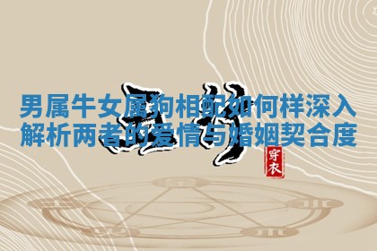 男属牛女属狗相配如何样深入解析两者的爱情与婚姻契合度 男属牛女属狗相配如何样深入解析两者的爱情与婚姻契合度