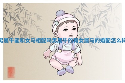 男属牛能和女马相配吗_男属牛的和女属马的婚配怎么样 男属牛能和女马相配吗_男属牛的和女属马的婚配怎么样