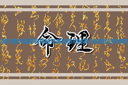 男属牛跟鸡相配吗揭秘完美爱情的秘密与和谐关系的建立 男属牛跟鸡相配吗揭秘完美爱情的秘密与和谐关系的建立