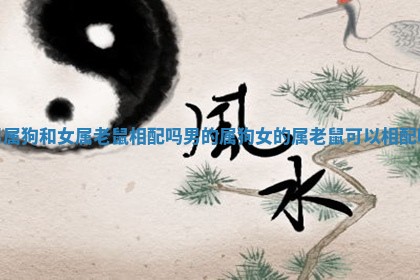 男属狗和女属老鼠相配吗_男的属狗女的属老鼠可以相配吗