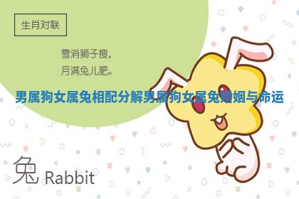 男属狗女属兔相配分解_男属狗女属兔婚姻与命运 男属狗女属兔相配分解_男属狗女属兔婚姻与命运