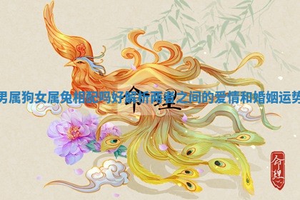 男属狗女属兔相配吗好 解析两者之间的爱情和婚姻运势 男属狗女属兔相配吗好 解析两者之间的爱情和婚姻运势