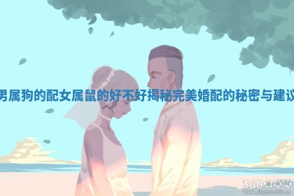 男属狗的配女属鼠的好不好揭秘完美婚配的秘密与建议 男属狗的配女属鼠的好不好揭秘完美婚配的秘密与建议