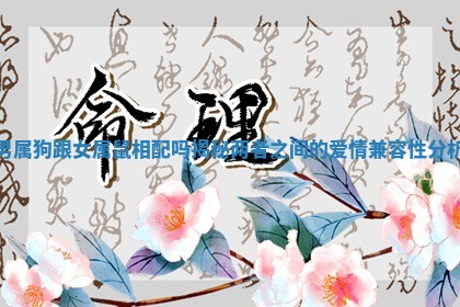 男属狗跟女属鼠相配吗揭秘两者之间的爱情兼容性分析 男属狗跟女属鼠相配吗揭秘两者之间的爱情兼容性分析