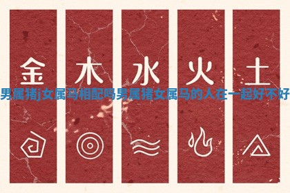 男属猪j女属马相配吗_男属猪女属马的人在一起好不好