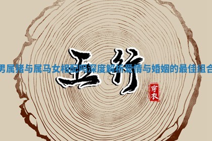 男属猪与属马女相配吗深度解析爱情与婚姻的最佳组合 男属猪与属马女相配吗深度解析爱情与婚姻的最佳组合