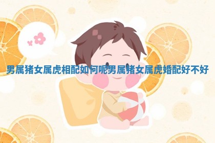 男属猪女属虎相配如何呢 男属猪女属虎婚配好不好