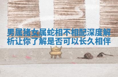 男属猪女属蛇相不相配深度解析让你了解是否可以长久相伴