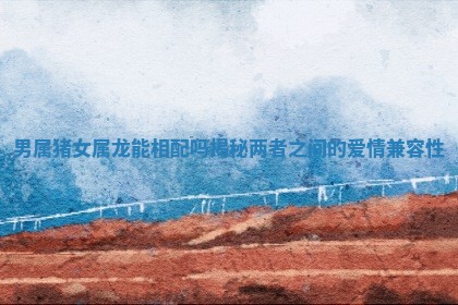 男属猪女属龙能相配吗揭秘两者之间的爱情兼容性