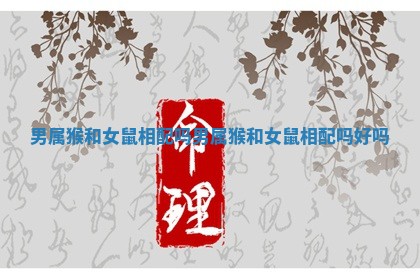 男属猴和女鼠相配吗_男属猴和女鼠相配吗好吗