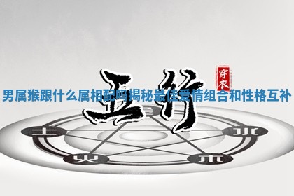 男属猴跟什么属相配吗揭秘最佳爱情组合和性格互补
