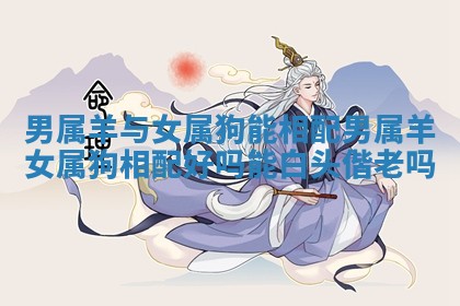男属羊与女属狗能相配_男属羊女属狗相配好吗能白头偕老吗