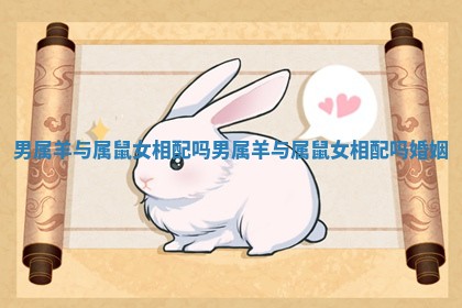 男属羊与属鼠女相配吗_男属羊与属鼠女相配吗婚姻