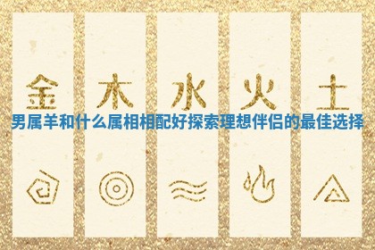 男属羊和什么属相相配好探索理想伴侣的最佳选择