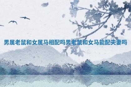 男属老鼠和女属马相配吗_男老鼠和女马能配夫妻吗 男属老鼠和女属马相配吗_男老鼠和女马能配夫妻吗