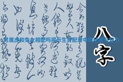 男属虎和兔女相配吗揭示生肖配对中的秘密与魅力