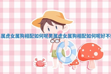 男属虎女属狗相配如何呢_男属虎女属狗相配如何呢好不好