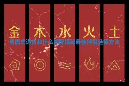 男属虎适合和什么相配探秘最佳伴侣选择方法