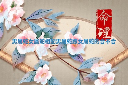 男属蛇女属蛇相配 男属蛇跟女属蛇的合不合