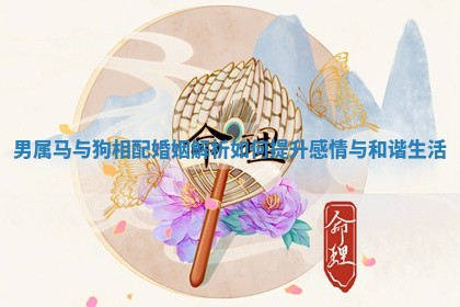 男属马与狗相配婚姻解析如何提升感情与和谐生活