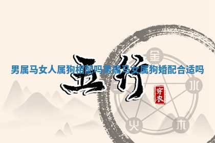 男属马女人属狗相配吗_男属马女属狗婚配合适吗