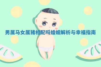 男属马女属猪相配吗婚姻解析与幸福指南