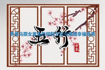 男属马跟女属兔的相配分析与婚姻幸福指南