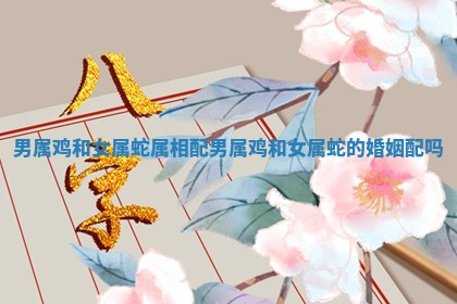男属鸡和女属蛇属相配 男属鸡和女属蛇的婚姻配吗