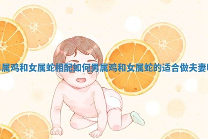 男属鸡和女属蛇相配如何 男属鸡和女属蛇的适合做夫妻吗