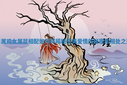 男属鸡女属鼠相配如何样揭秘完美爱情的秘密和相处之道