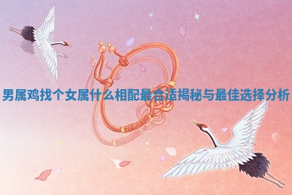 男属鸡找个女属什么相配最合适揭秘与最佳选择分析
