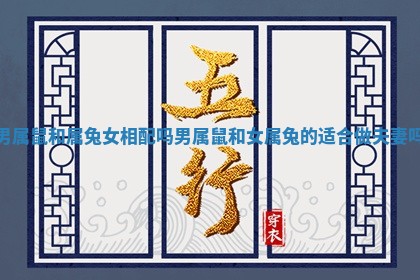 男属鼠和属兔女相配吗 男属鼠和女属兔的适合做夫妻吗