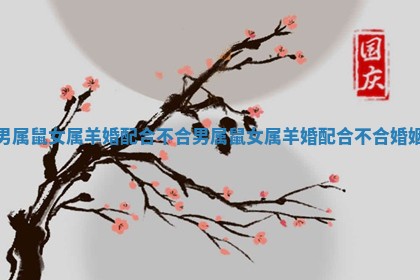 男属鼠女属羊婚配合不合 男属鼠女属羊婚配合不合婚姻