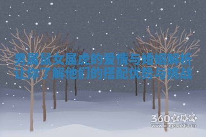 男属鼠女属虎的爱情与婚姻解析让你了解他们的搭配优势与挑战