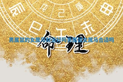 男属鼠的女属马财运好吗_男属鼠女属马合适吗