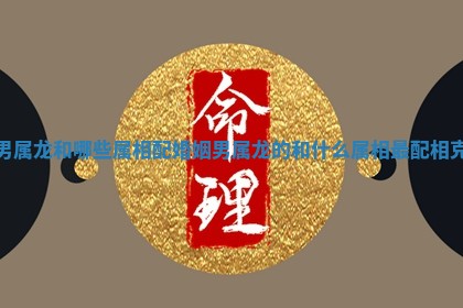 男属龙和哪些属相配婚姻_男属龙的和什么属相最配相克