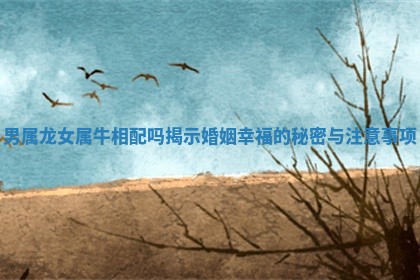 男属龙女属牛相配吗揭示婚姻幸福的秘密与注意事项