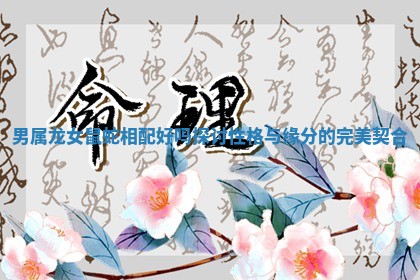 男属龙女鼠蛇相配好吗探讨性格与缘分的完美契合