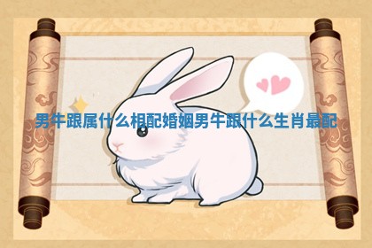 男牛跟属什么相配婚姻_男牛跟什么生肖最配