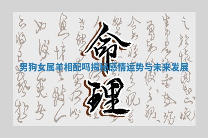 男狗女属羊相配吗揭秘感情运势与未来发展