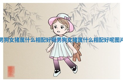 男狗女猪属什么相配好呢_男狗女猪属什么相配好呢图片