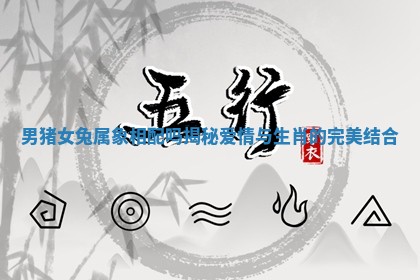 男猪女兔属象相配吗揭秘爱情与生肖的完美结合