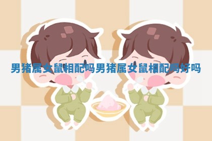 男猪属女鼠相配吗_男猪属女鼠相配吗好吗