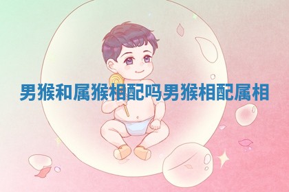 男猴和属猴相配吗_男猴相配属相