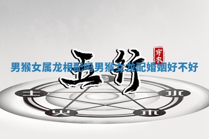 男猴女属龙相配吗_男猴女龙配婚姻好不好