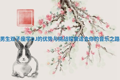 男生双子座学DJ的优势与挑战探索适合你的音乐之路