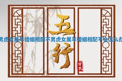 男虎女属羊婚姻相配不_男虎女属羊婚姻相配不合怎么办 男虎女属羊婚姻相配不_男虎女属羊婚姻相配不合怎么办