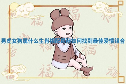 男虎女狗属什么生肖相配揭秘如何找到最佳爱情组合