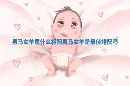 男马女羊属什么相配_男马女羊是最佳婚配吗