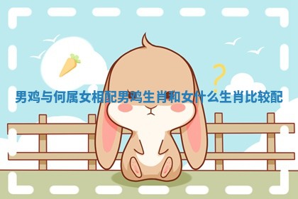 男鸡与何属女相配 男鸡生肖和女什么生肖比较配